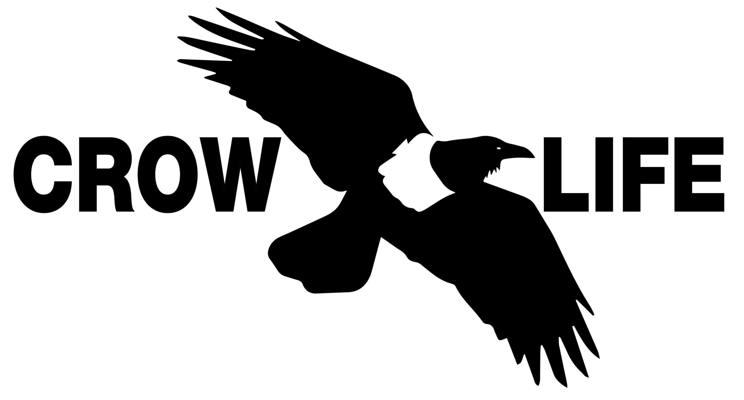 Crow Life – Centre de Recherche et Protection des Corvidés